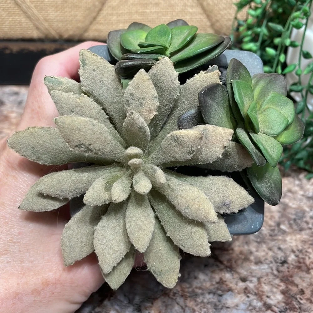 Faux succulents